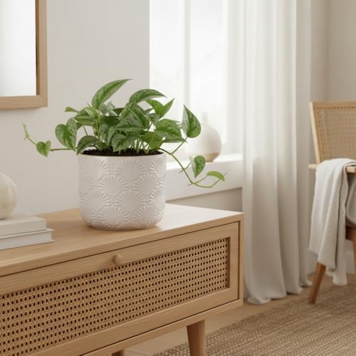Modern Minimalist Ceramic Plant Pot, 6.7" Planters for Indoor Plants - Image 4