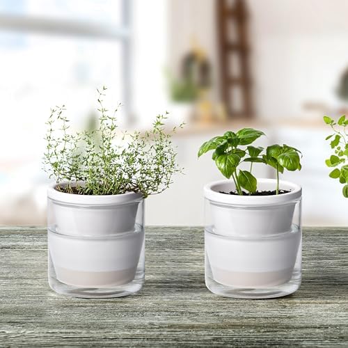 D'vine Dev Self-Watering White Terracotta Planter, 4 in, 2-Pack, 37-Y-A-2 - Image 2