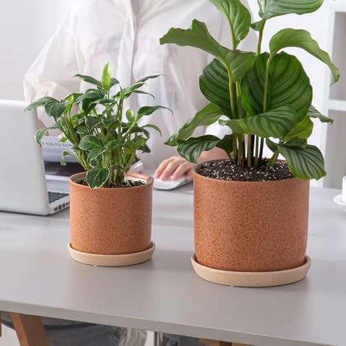 8 Inch Ceramic Plant Pot with Drainage Hole & Separate Saucer - Image 5