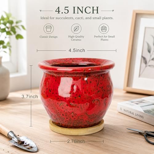4.5 Inch Plant Pots with Drainage, Small Ceramic Pots for Indoor Plants - Image 2