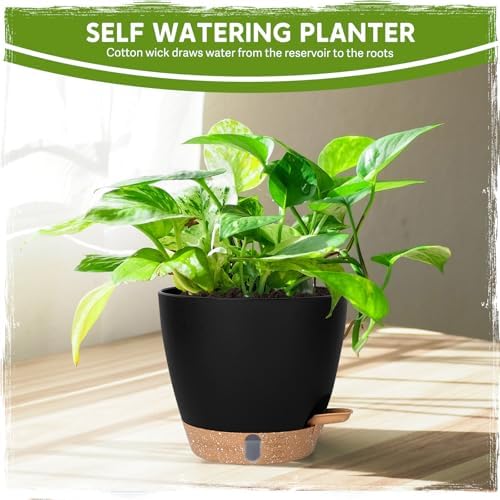Self Watering Pots for Indoor Plants (5/5.5/6/6.5/8 Inch), Terra Cotta Planters with Water Level Indicator & Drainage,Wicking Pots for Monstera, Herbs & Snake Plant (Black, 5/5.5/6/6.5/8 Inch) - Image 7