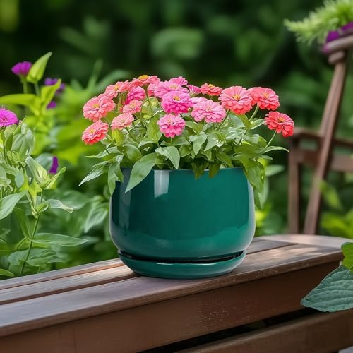G EPGardening 6 Inch Plant Pot - Ceramic Planter for Indoor Plants, Round Planter with Drainage and Ceramic Tray, Flower Pots for Outdoor, Modern House Decor, Gift for Men Women, Green - Image 4