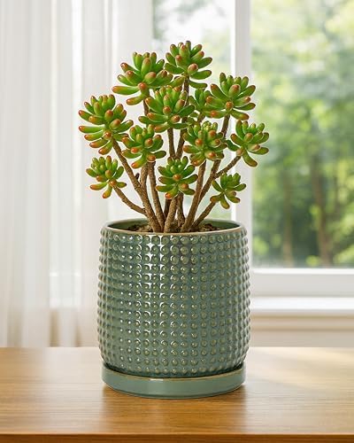 D'vine Dev Beaded Ceramic Pot with Saucer, 6 in, Olive, 27-C-X-0 - Image 7