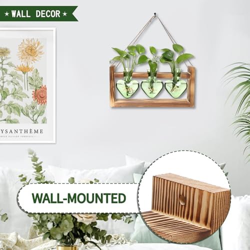 Plant Terrarium Propagation Stations Hydroponics - Image 3