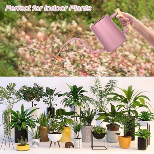 Watering Can Indoor Plants, 35 oz/1000 ml Metal Stainless Steel Watering Can Pot with Long Spout for Indoor House Plants Bonsai Outdoor Garden Flower Decorative (Pink) - Image 5