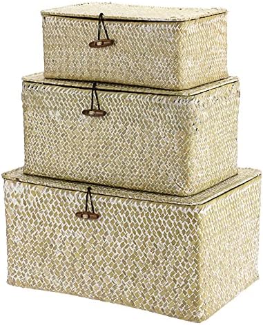 Hipiwe Set of 3 Wicker Storage Basket Bin with Lid Large Woven Seagrass Box by Hipiwe