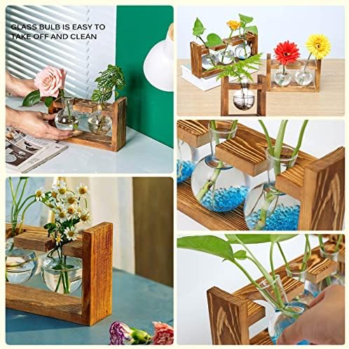 Kingbuy Glass Plant Terrarium with Retro Wood Stand, 3 Bulbs - Image 3