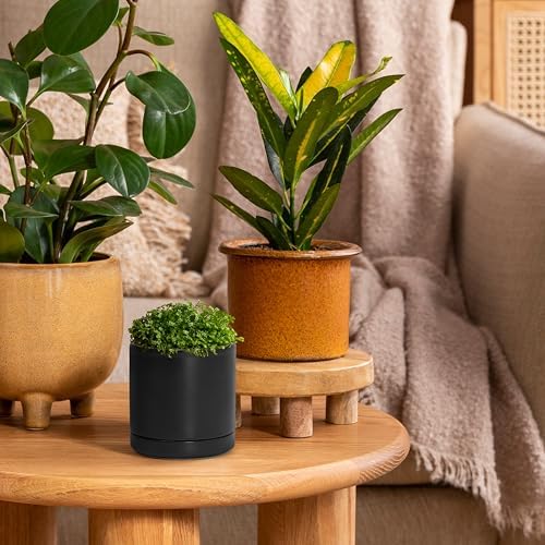 D'vine Dev 2-Pack Ceramic Pots with Saucers, Black, 3.5 in, 94-V-A-2 - Image 4