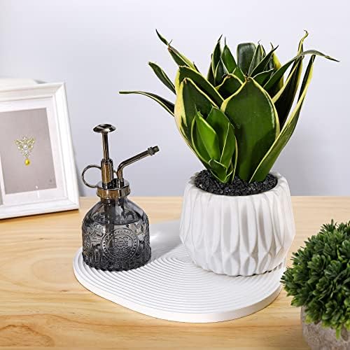 Glass Plant Mister Spray Bottle, Vintage Plant Water Spritzer, Succulent Spray Bottle with Top Pump, Small Glass Sprayer Mister Watering Can for Indoor Outdoor Houseplant - Grey - Image 5