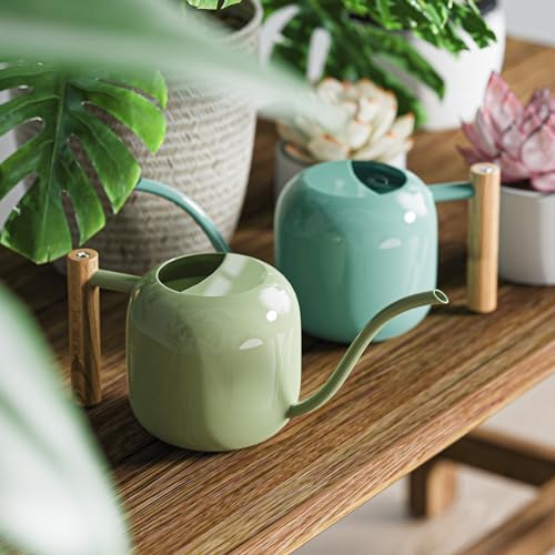 Green Moon 1.2L/41oz Metal Metal Watering Can with Long Spout, Mint Green - Image 5