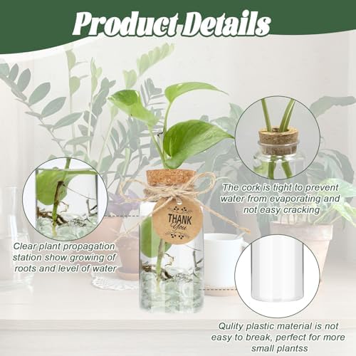 Ysglory 24 Pack 3.54'' Plant Propagation Stations 4oz Plastic Vases Jars - Image 5