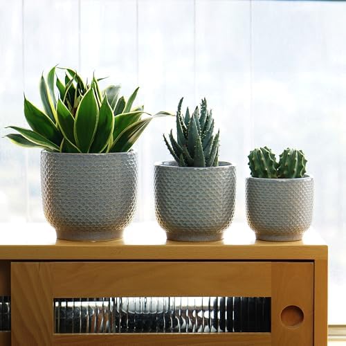 4 + 5 + 6 Inch Ceramic Pots for Indoor Plants, Succulents Plant Pots, Orchid Flower Pot with Drainage Hole, Modern Clay Stoneware Planters, Set of 3 (Reactive Glaze Grey Blue, 4 + 5 + 6 Inch） - Image 5