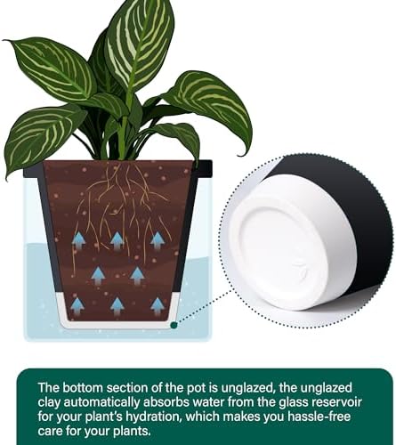 D'vine Dev Self-Watering Black Terracotta Planter Pot, 10 in, 37-X-D-3 - Image 6