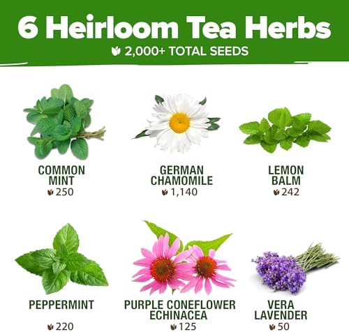 HOME GROWN 6 Medicinal Herb Variety Vault 2000+ Seeds Garden Kit - Image 3