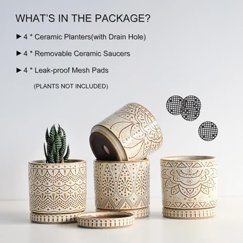 Gepege Ceramic Succulent Pots, 4 Inch Small Plant Pots with Drainage - Image 3