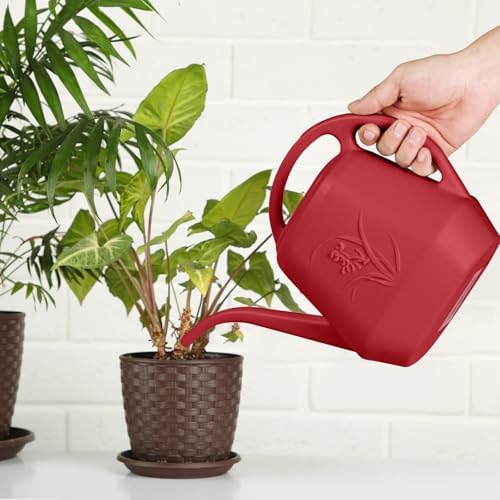 Hand Watering Can - for Home Plant Garden - 1/2 Gallon - Wine Red - Image 6