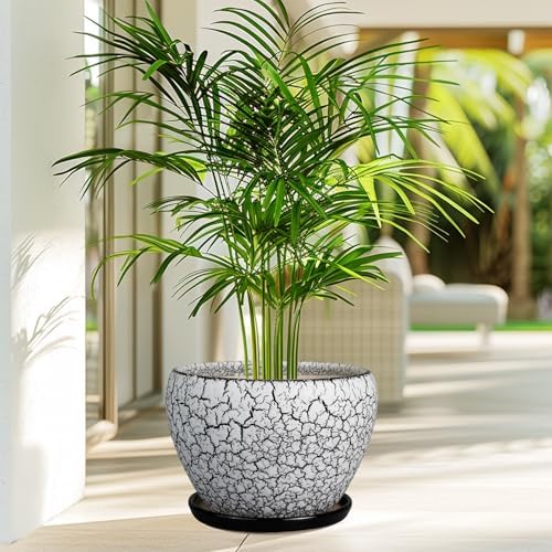Ceramicfor Ceramic Planters for Indoor Plants - 10 Inch Plant Pot with Drainage Hole and Saucer, Large Flower Pot for Home Decor, White/Black - Image 5