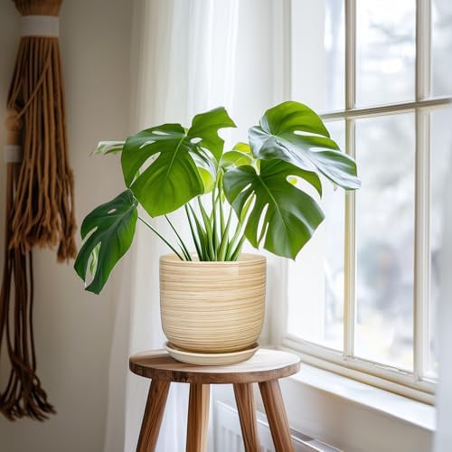 Ceramic Planter for Indoor Plants 7 Inch - Cylinder Modern Indoor Plant Pot with Drainage Hole and Saucer, Home Patio Office Bathroom Decor, Yellow - Image 6