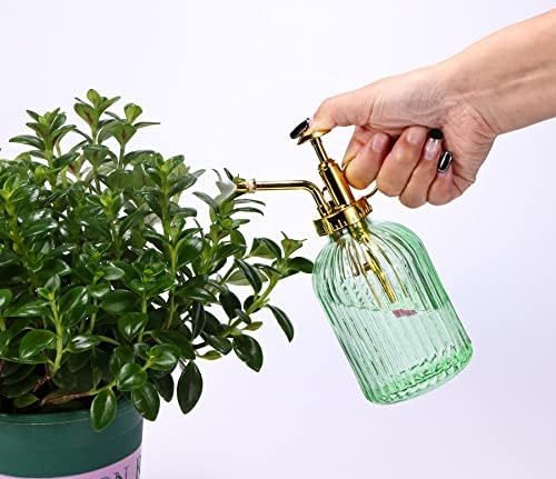 Glass Plant Mister Spray Bottle, 7.5" Green Glass Water Spray Bottle with Gold Top Pump Small Watering Can, Small Plant Sprayer Mister for Indoor Outdoor House,(Green+Gold E) - Image 5