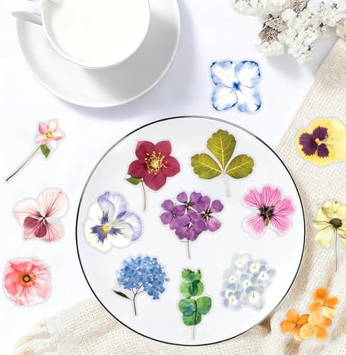 50PCS Transparent Flora Scrapbook Stickers, Flower-E - Image 6