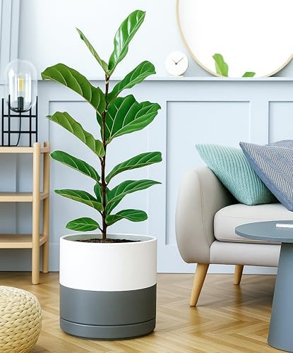 D'vine Dev 12 Inch Ceramic Planter Pot, White/Grey, 94-O-F-6 - Image 4