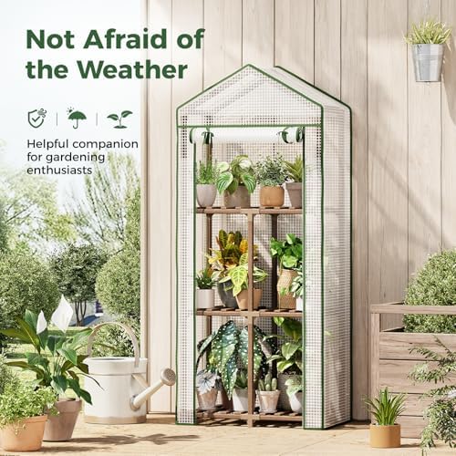 Bamworld 3-Tier Wooden Greenhouse 54" Tall Portable Green House - Image 3
