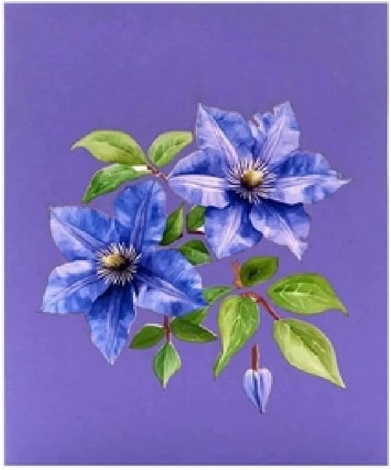 3D Flower Card F65