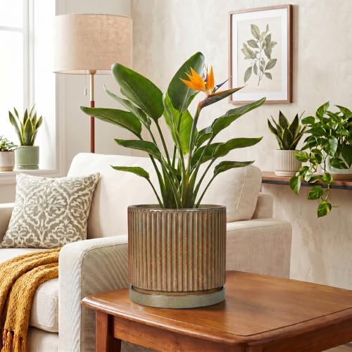 Ceramic Plant Pots, 8 Inch Planter, Round Plant Pot, Retro Brown - Image 6