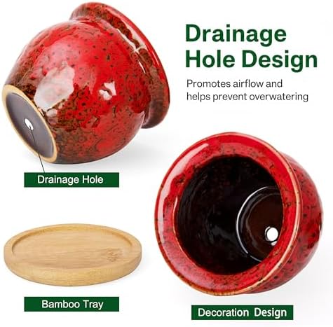 4.5 Inch Plant Pots with Drainage, Small Ceramic Pots for Indoor Plants - Image 3