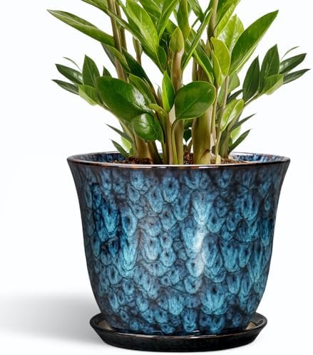 10 Inch Plant Pot - Ceramic Planter with Drainage Hole and Saucer, Round Flower Pots for Indoor Outdoor, Modern Decorative Planter for Plants, Home Office Decor, Plant Lover Gifts, Blue by SUNPOTFOR