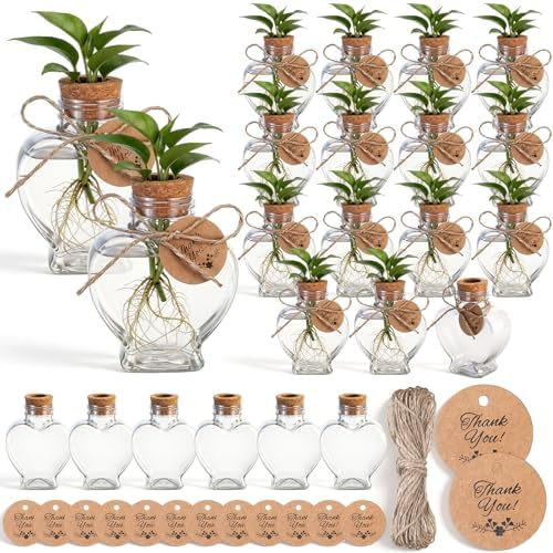 24 Pack 3.74'' Heart Plastic Plant Propagation Stations with Hole Lid by Baderke