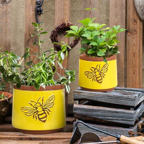 YBX Terracotta Pots Inch with Drainage Holes, Bee Decor, Ceramic Pots for Indoor Plants Flower Pots Outdoor, Succulent, Herbs, Snake Plants (Yellow, 6+4 Inch) - Image 6