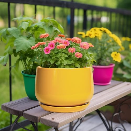 G EPGardening Ceramic Flower Pot - 9 Inch Plant Pots for Indoor Outdoor Plants, Round Ceramic Planter with Drainage and Plant Saucer, Modern Planter, Home Office Decor, Garden Gifts, Yellow - Image 2