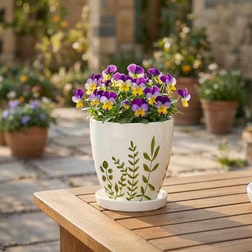 MPotTo Ceramic Pots for Plants - 6 Inch Plant Pot for Indoor Outdoor Plants, Ceramic Planter with Drainage Hole and Saucer, Decorative Round Planter, Gifts for Plant Lovers, Home Room Decor, White - Image 5