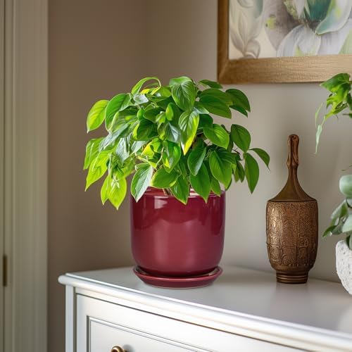 Ceramic Planter for Plants - Round Modern 7 Inch Plant Pot Indoor with Drainage Hole and Saucer, Home Patio Office Apartment Decor, Red - Image 4