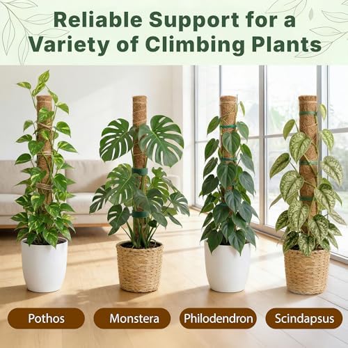 4 Pack 16" Moss Pole Monstera Plant Support - Stackable up to 48" - Image 7