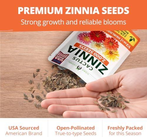 HOME GROWN Zinnia Cactus Mix 2000 Flower Seeds Zinnia elegans - Image 6
