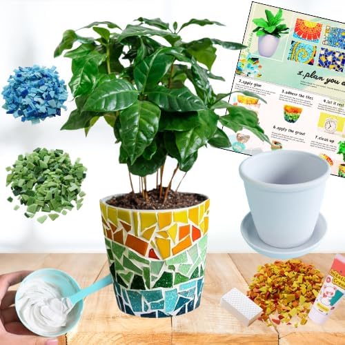 jiezaidada Adult DIY Mosaic Flower Pot Kit, Glass Tile Planter Craft with Step-by-Step Instructions, Handmade Home Décor Gift for Women & Men by Jiezaidada-MosaicArtCraft