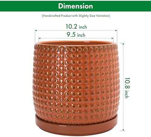 D'vine Dev Beaded Ceramic Pot with Saucer, 10 in, Pumpkin, 27-C-P-J - Image 3