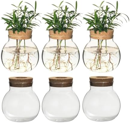 Plant Propagation Station,Hydroponic Terrarium Vase,Desktop Glass Planter Station,for Houses,Garden Decorations,ropagating Hydroponic Plants,Centerpiece Office,Home Garden Decor (6) by wangsdjy
