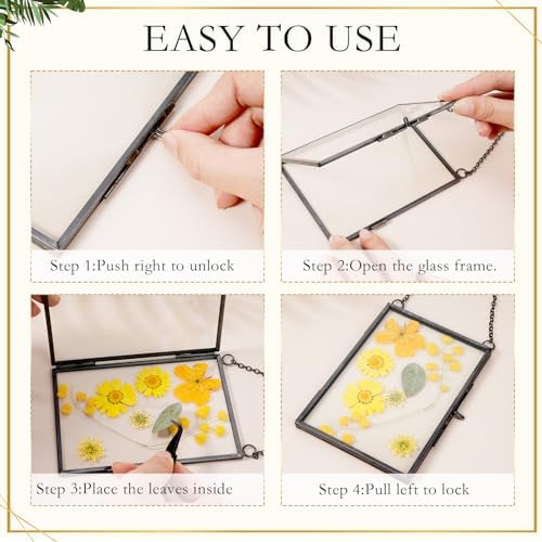 Bucherry 5 Pcs Glass Frame for DIY Pressed Flowers Art Brass Hanging Photo Picture Frame with Chain and 6 Styles Pressed Flowers Collage Glass Craft Frames for Wall Decor Display Gallery (Black) - Image 4