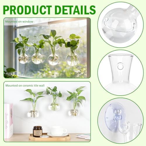 Bunmery 4 pcs Window Propagation Stations, Easy to Install Plant Propagation Bulbs with Suckion Cups, No Nails Wall Hanging Planter Propagation Station, Glass Plant Terrarium Vase - Image 3