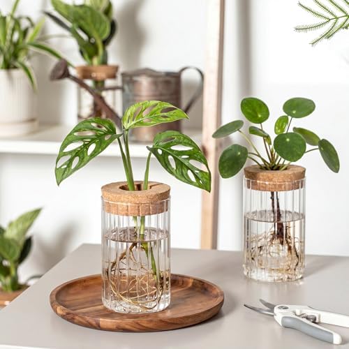 6 Set Propagation Station Jar Desktop Glass Planter Station Flower Vases Water Terrarium Jar with Cork Lid for Propagating Flower Plants Centerpiece Office Home Garden Decor (Small) - Image 4