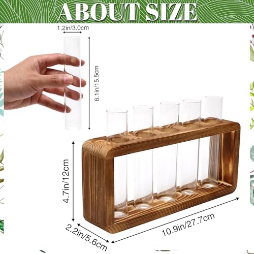 Glass Plant Propagation Station with 5 Test Tubes Colorful Planter Vase - Image 2