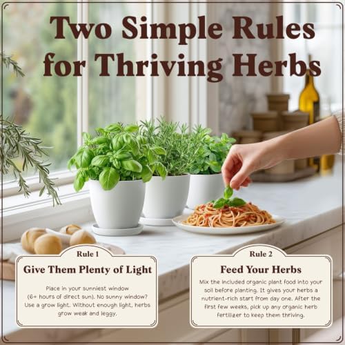 Seedboy Organic Non-GMO Herb Seeds for Planting (Herb Garden Starter Kit) - Image 5