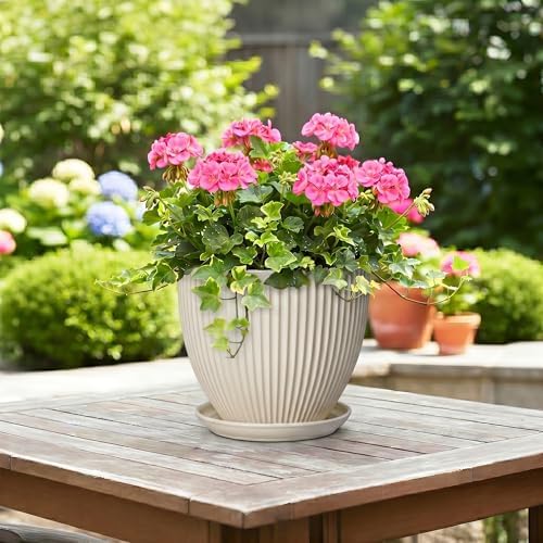 Ceramic Flower Pots, 8 Inch Plant Pot with Drainage Hole and Saucer, Modern Planters for Indoor Plants, Round Indoor Pots for Plants, Office Home Decor, Plant Lover Gifts, Cream White - Image 4