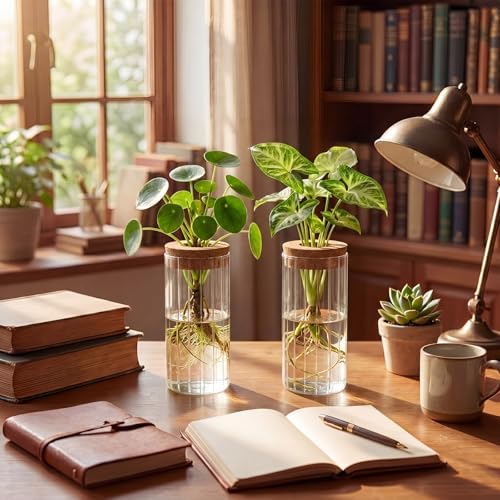 6 Set Propagation Station Jar Desktop Glass Planter Station Flower Vases Water Terrarium Jar with Cork Lid for Propagating Flower Plants Centerpiece Office Home Garden Decor(Medium) - Image 4
