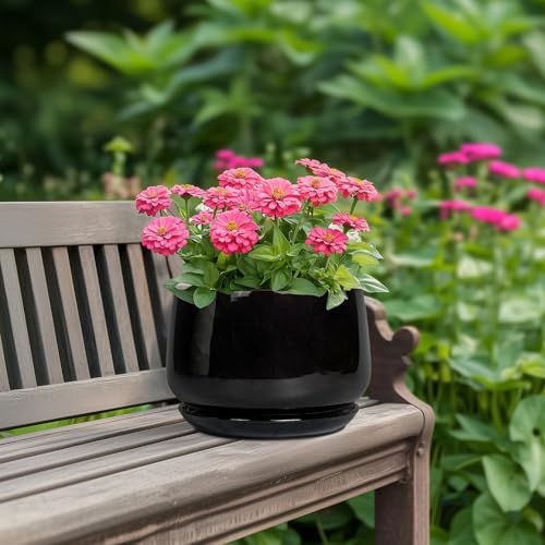 G EPGardening Ceramic Planter 7 Inch, Ceramic Pot for Plants, Black - Image 4