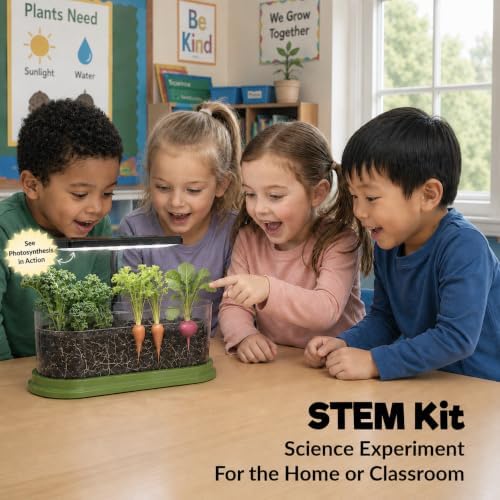 Kids Gardening Kit with LED Grow Light & Root Viewer - Kids Plant Growing Kit - Indoor Mini Garden Set - Vegetable & Herb Garden - Nature Craft for Kids - STEM Science Experiment - Grow Your Own Plant - Image 3
