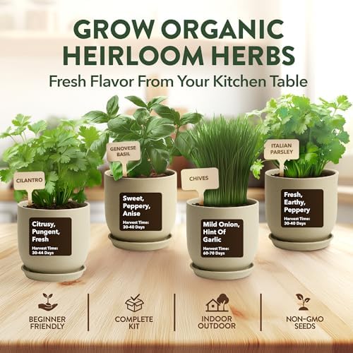 HOME GROWN Organic 4 Herb Indoor Garden Kit - Ideal Christmas Gift Set - Image 3